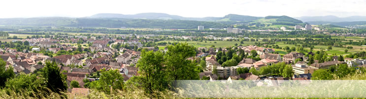 Panorama Grenzach Wyhlen